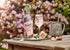BELVOIR FRUIT FARMS 750ml Elderflower and Rose Lemonade | Elegant Floral Lemonade | Natural Rose and Elderflower