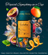 Pack 8.8oz 250g Colombian Geisha Coffee Whole Bean Medium Roast Arabica Gourmet Fresh Single Origin Premium Low Acid