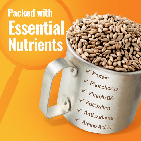 100% 5lbs Grand Teton Ancient Grains - USDA Organic Rye Berries, Rye Berry Grain, Rye Grain Organic Excellent