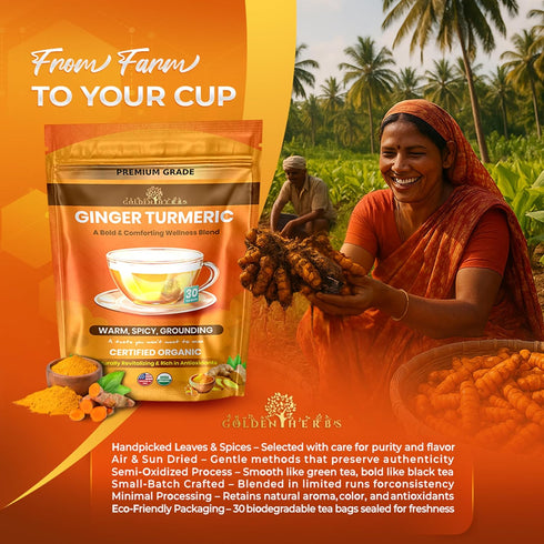 GOLDEN HERBS 30 Packed Organic Ginger Turmeric Tea USDA Organic Herbal Tea, Caffeine Free, Warming Wellness Blend