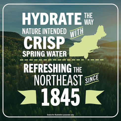 12 Pack- 25 oz Poland Spring Maine Spring Water Aluminum Bottle Crisp, Still Bottled Water with Naturally Occurring