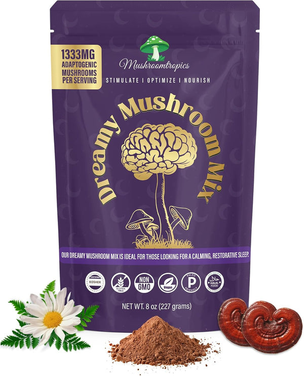 Dreamy Hot Cocoa Blend Mix Organic Mushroom Coffee with Reishi, L-Theanine, Chamomile