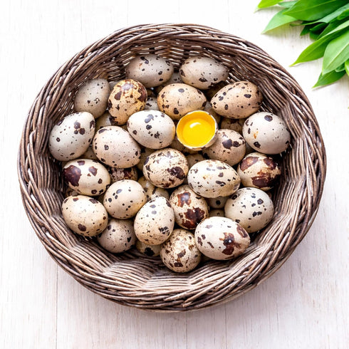 FARM FRESH Quail Eggs *Laid in the U.S.* Hormone Free; Non-GMO -