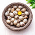 FARM FRESH Quail Eggs *Laid in the U.S.* Hormone Free; Non-GMO -