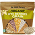 Be Still Farms Organic Rye Berries Bulk (5.8 lb) - Whole Rye