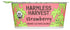 Harmless Harvest Dairy-Free Cup Yogurt - Strawberry, 4oz