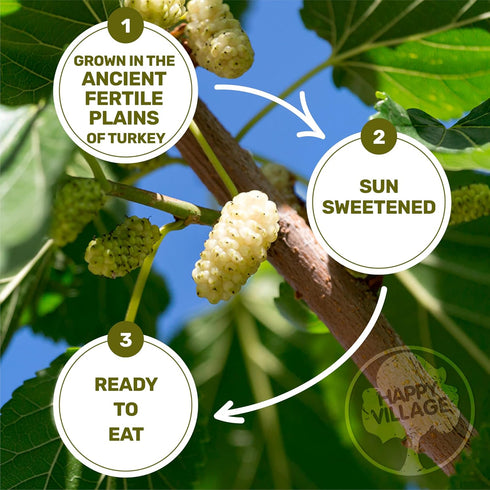 Mulberries, Mulberry, 15 OZ (3 Packs 5 OZ) Happy Village Organic Dried Sun-Dried White of - No Added Sugar, Non-GMO