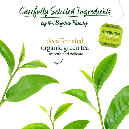 40 Count (Pack 6), 240 Bigelow Tea Organic Decaffeinated Green Tea, Decaf Organic Green Tea Bags, Box of Total Tea Bags