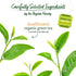 40 Count (Pack 6), 240 Bigelow Tea Organic Decaffeinated Green Tea, Decaf Organic Green Tea Bags, Box of Total Tea Bags