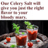 The Spice Way Fresh Celery Salt Seasoning Blend - 1 lb.