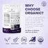 3.2 Organic Whole Blackberries Fresh Freeze Dried Fruit Ounce Bag - No Sugar Added Dehydrated Whole Blackberries Snack