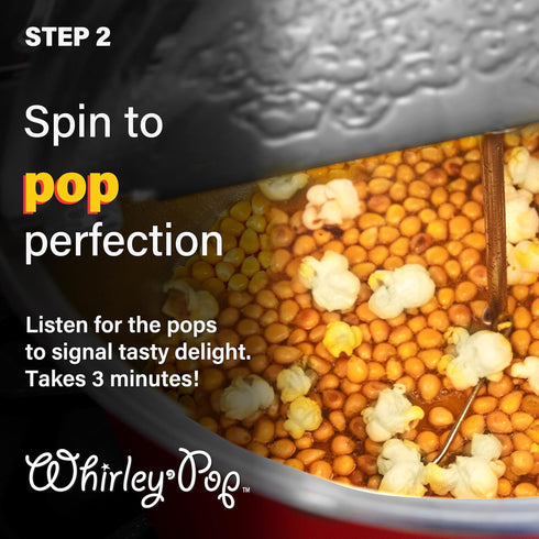 Pack 4 Pack Gourmet Popcorn Topping Variety - Wabash Valley Farms of Popcorn Flavoring Glaze, Popcorn Seasoning
