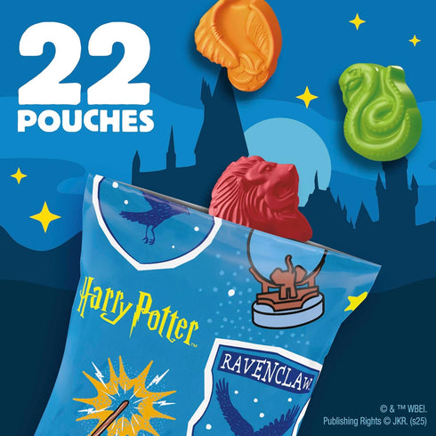 17.6 oz (22 Harry Potter Fruit Flavored Snacks, Fat Free and Gluten Free Snacks, Pouches)