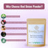100g (3.53oz) 100% Exotic Veda Red Onion Powder | Pure & Natural | Non-GMO, Gluten-Free, Vegan | No Preservatives |