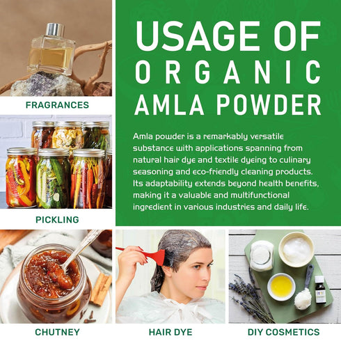 Jiva Organics Organic Pure Amla Berry Powder, 7 Ounce - Food Grade & Non-GMO