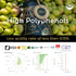20+ 584 17 Oz. NOOR FS Awards EVOO | Polyphenol Rich mg/kg | USDA Organic Extra Virgin Olive Oil | Moroccan Picholine |