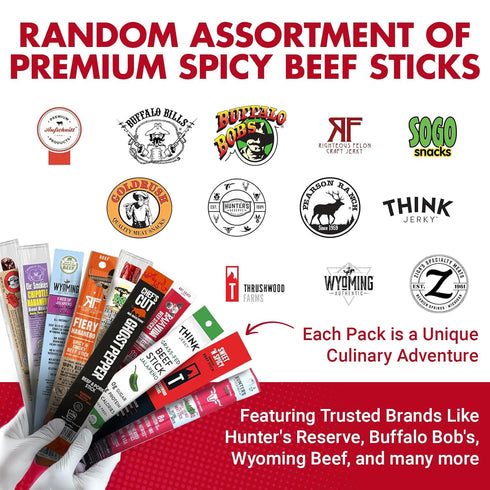 (10 Count) Pack Jerky-n-Spice Premium Spicy Meat Sticks Gift Box | Beef Sticks Variety | Beef Jerky Basket for Men |