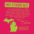Leelanau 16 oz (Pack 12) Cherry Sweet Iced Tea, fl