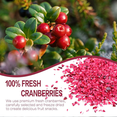 Frozen 100% 3OZ/85G Freeze Dried Cranberries Pieces, Cranberries, No Added Sugar, Natural, Freeze Dried Fruit