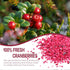 Frozen 100% 3OZ/85G Freeze Dried Cranberries Pieces, Cranberries, No Added Sugar, Natural, Freeze Dried Fruit