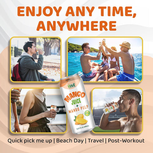 100% (16.57 oz, Pack 12), Vinut Mango Juice with Pulp fl of No Sugar Added, All Nature Mango Juice, Not From