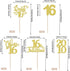 30 16th 16 2010 16 16th PCS Happy Birthday Cupcake Toppers Sweet Fabulous Sixteen Since Cupcake Picks Cheers to Years