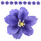 Global Sugar Art Clematis Sugar Cake Flowers, Light Purple, 3 Count by