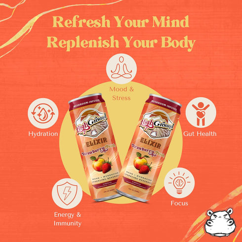 12oz 6 Pack High Ground Elixir Mushroom Seltzer Strawberry Peach | Lions Mane for Focus, Reishi for Stress, Cordyceps