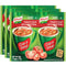 Knorr Tomato Soup Mix with Croutons 1.52oz (3x2 Packs for 6 Pouches
