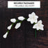 3 Count Global Sugar Art Freesia Sugar Cake Flowers Filler Spray, White, by Chef Alan Tetreault