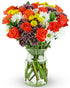Benchmark Bouquets - Life is Good Orange Roses - Fresh Flowers for