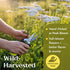 2oz Dried Yarrow Flowers Tea - Natural Yarrow Flower Herb Bulk - Achillea Millefolium Herbs - Loose Leaf Cut