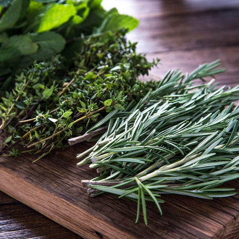 6 Packets: Culinary Herb Seeds Garden Collection | Basic Assortment | Non-GMO Seed Basil, Dill, Oregano, Parsley
