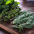 6 Packets: Culinary Herb Seeds Garden Collection | Basic Assortment | Non-GMO Seed Basil, Dill, Oregano, Parsley