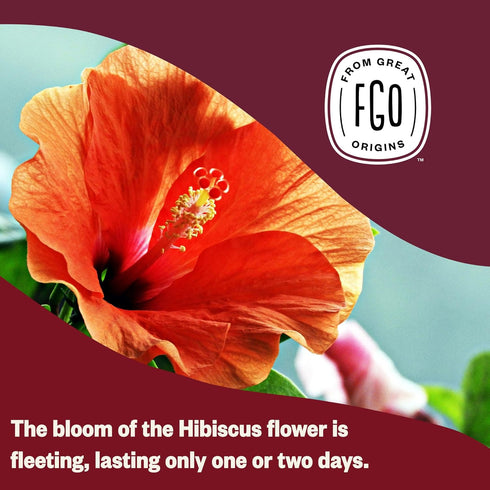 FGO Organic Hibiscus Tea - 100 Count, Eco-Conscious Tea Bags, Caffeine Free