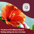 FGO Organic Hibiscus Tea - 100 Count, Eco-Conscious Tea Bags, Caffeine Free
