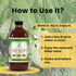 16 oz, Herb To Body Soursop Bitter Liquid Digestive Bitters made with Wildcrafted Soursop Leaves for Gut Wellness
