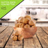 (80oz 5 LB) Packed NUT CRAVINGS - Raw Walnuts In Shell, Whole, - Fresh in Resealable Bag - Nut Snack - Food Assortments