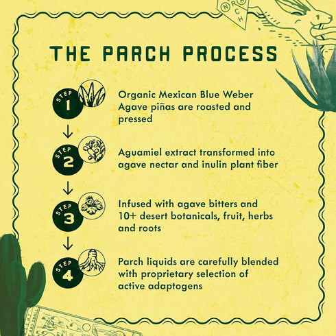 Pack, (8.4 oz 8 pack) PARCH Desert Margarita + Prickly Paloma Variety Ready to Drink Non Alcoholic Agave Cocktail