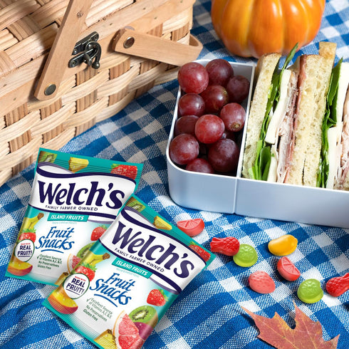 0.8 oz (Pack 40) Welch's Fruit Snacks, Fruit Punch & Island Fruits, Individual Single Serve bags