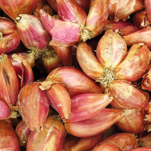 1.6 oz, Birch & Meadow Freeze-Dried Shallots, Sauces & Marinades, Seasoning