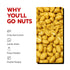 10 oz Dees Nuts Dill Pickle Flavored Peanuts - Resealable Bag | Gourmet Flavored Peanuts, Crunchy Snack Nuts, Tangy