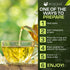 50g Biokoma Organic Rue Dried Herb Premium Loose Leaf Ruta Graveolens USDA Organic Herbal Tea Aromatic Sachets
