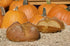 key west shrimp co 4 Pack. Sami's Millet and Flax Pumpkin Bread