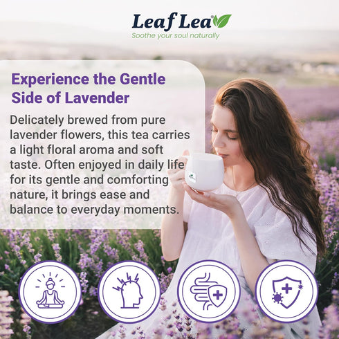 80 100% LeafLea Premium Lavender Tea Bags, Natural & Pure from Lavender Flowers, Nighttime Comfort & Digestive Support