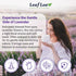 80 100% LeafLea Premium Lavender Tea Bags, Natural & Pure from Lavender Flowers, Nighttime Comfort & Digestive Support