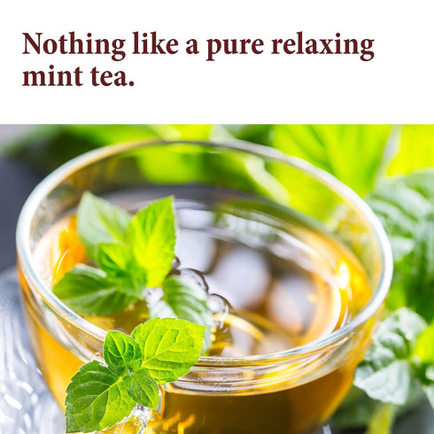 The Spice Way Mint Leaves - 2 oz Dried Loose Mint Leaf