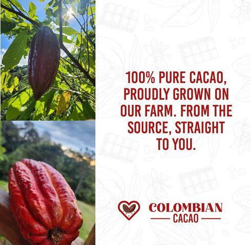 Colombian Cacao 100% Raw Cacao Beans Unroasted Pure Colombian Whole Cacao Beans Natural Superfood Rich in Antioxidants