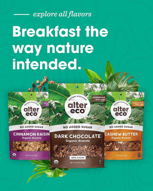 (Cinnammon 1 Pack) Alter Eco Cinnamon Raisin Granola, Healthy, Organic Breakfast & Snack, Naturally Sweetened