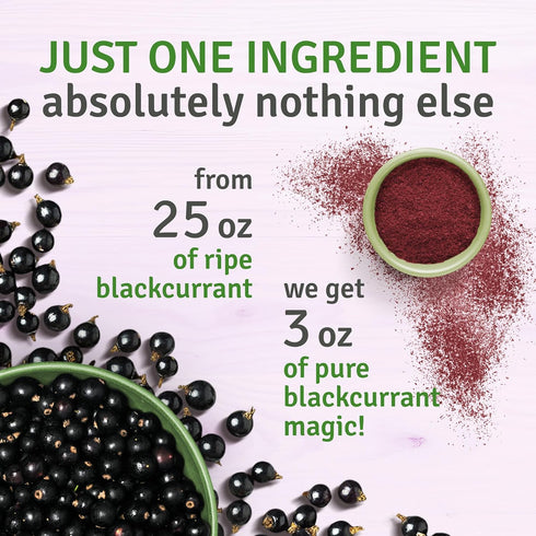 SEL BERRY 3oz Organic Black Currant Powder USDA Certified - No Sugar Added, Freeze Dried, Black Current Powder Organic